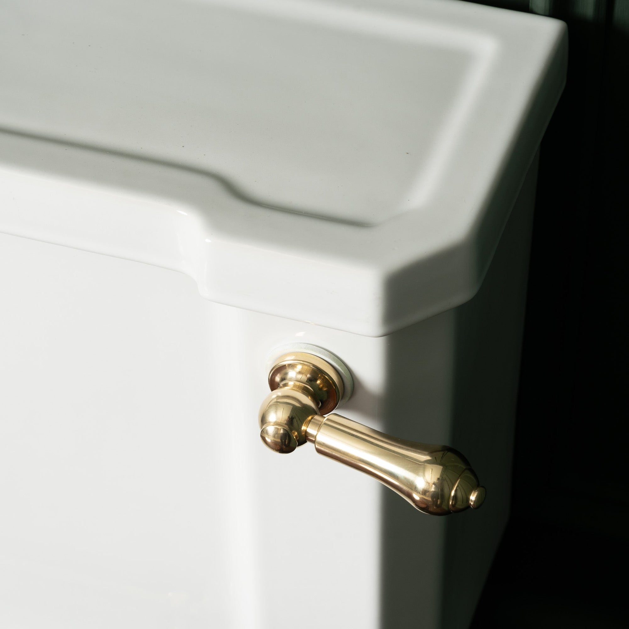 Toilet Flush Levers - Rutland London (UAE)